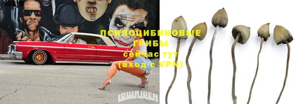 твердый Майский