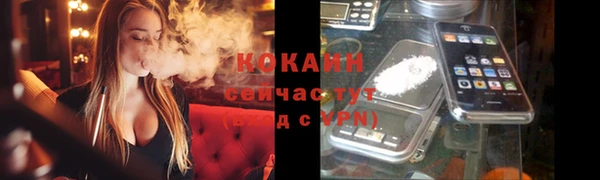 твердый Майский