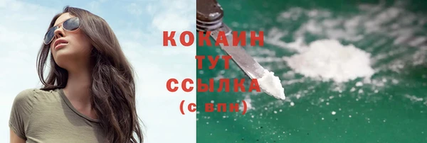 твердый Майский