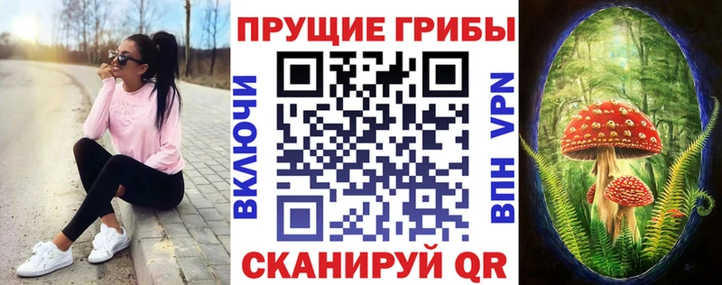 Псилоцибиновые грибы GOLDEN TEACHER  Купить закладки  Гусь-Хрустальный 